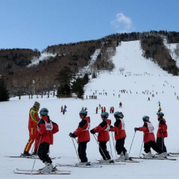 Ski package