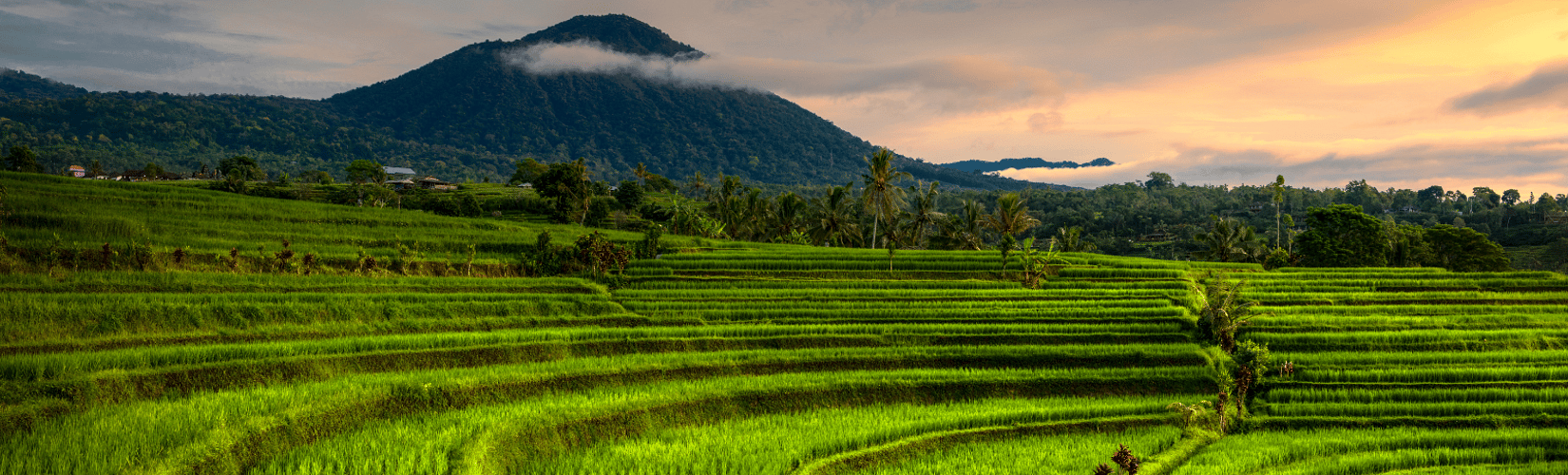 keluarga menghabiskan waktu di vila liburan di Bali