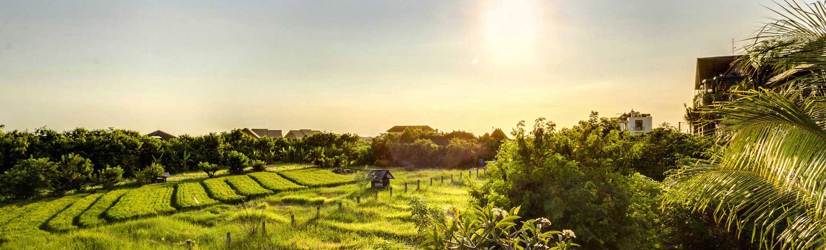 1000+ Ville in Affitto a Bali 2025 | Bali Villa Finder