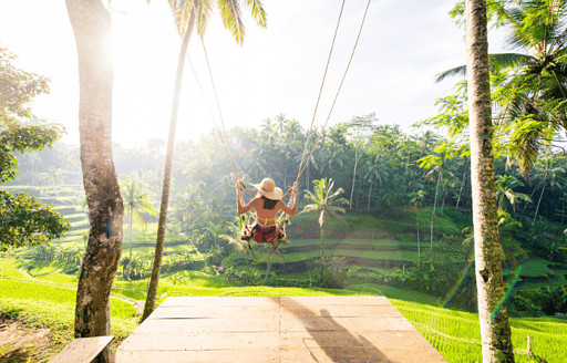 rice terraces swing