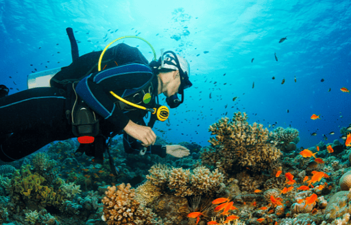 Duiken in Mauritius: de mooiste duikplekken van Mauritius