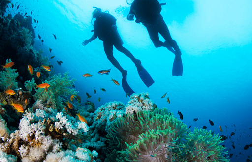 Diving in Bali: The Top 10 Best Dive Sites