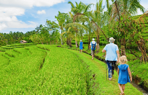 The Ultimate Bali Travel Guide with Kids 7-10 Years Old