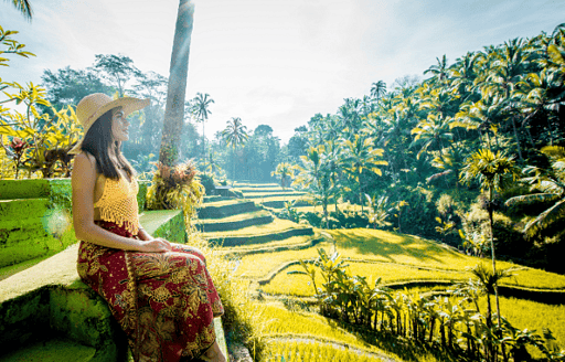 The Best Restaurants with Rice Field Views in Bali