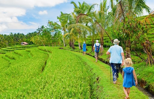 The Ultimate Bali Travel Guide with Kids 7-10 Years Old