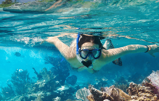 snorkelling