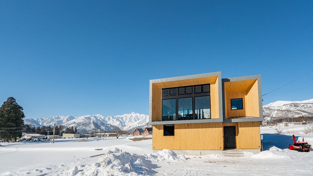 The S House