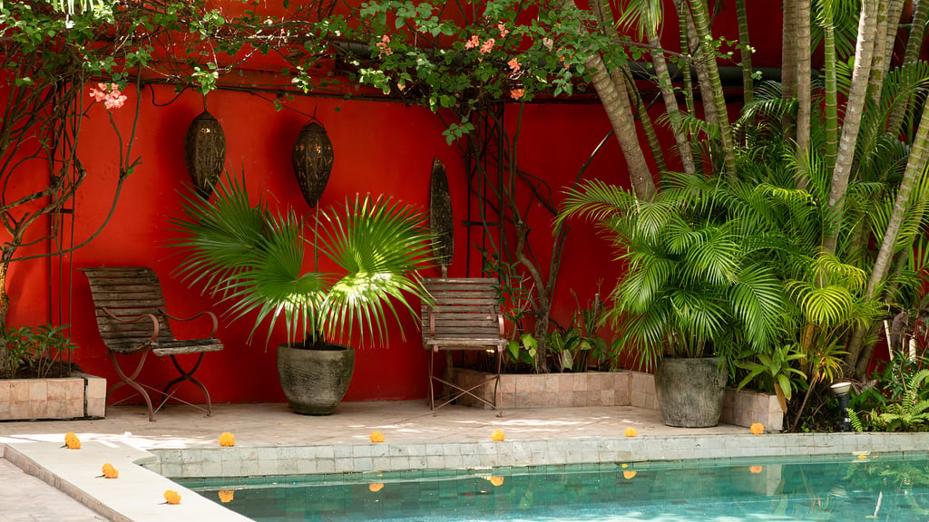 Villa Hangat: Garden