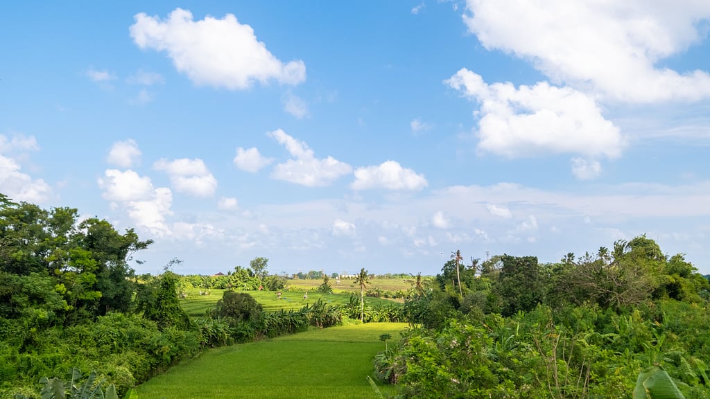 Baliris Villa V: Rooftop lounge