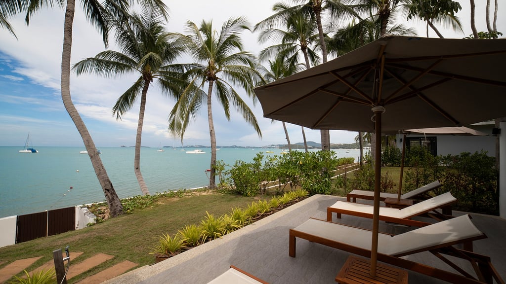 Celes Tropical Suite