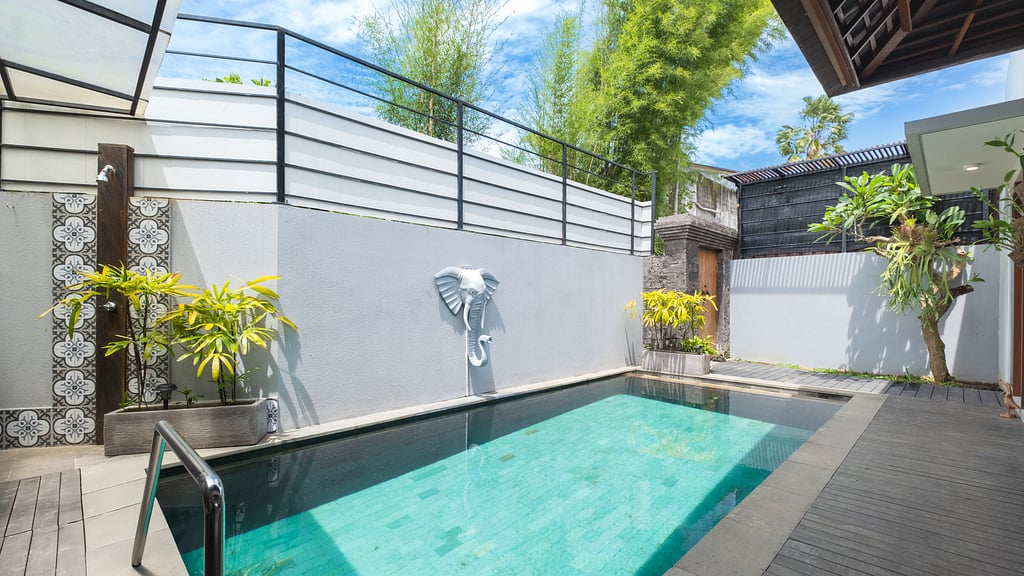 Elephant Villa 5: Swimming pool