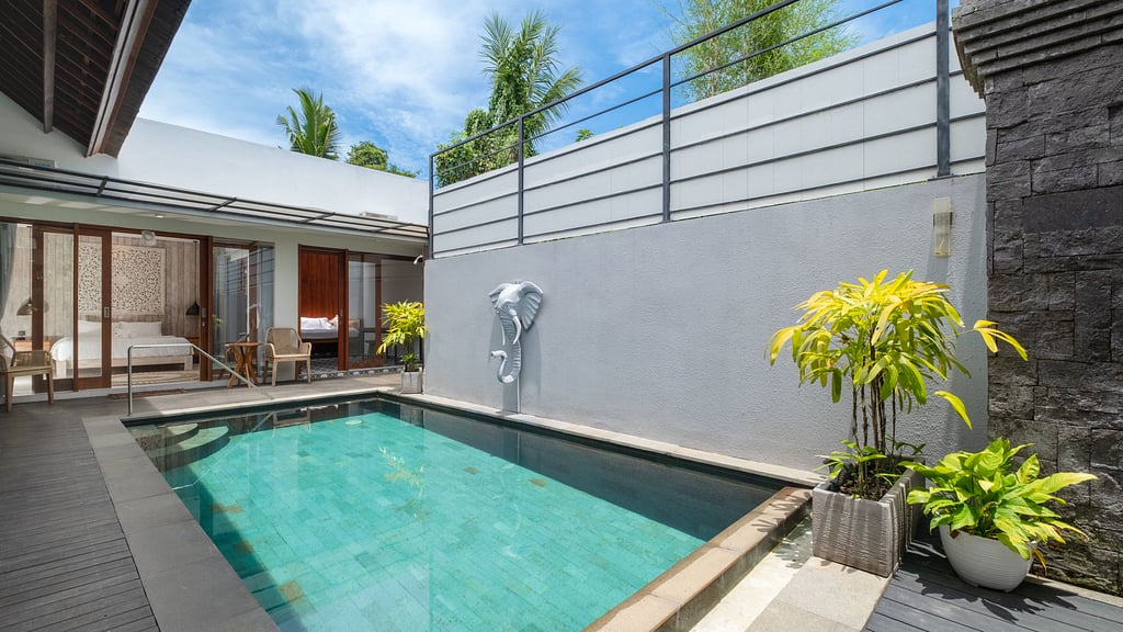 Elephant Villa 5: Swimming pool