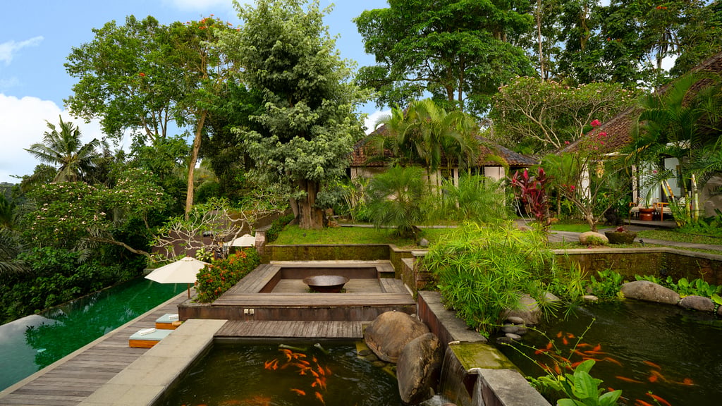 Le Sunset Villa