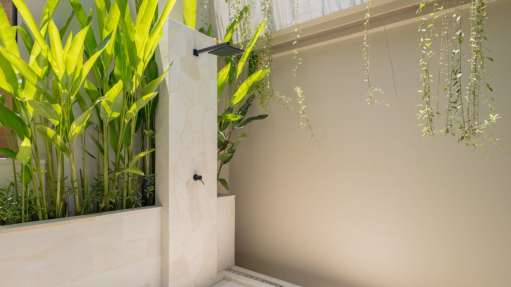 Loona Palm Seseh 1: Others