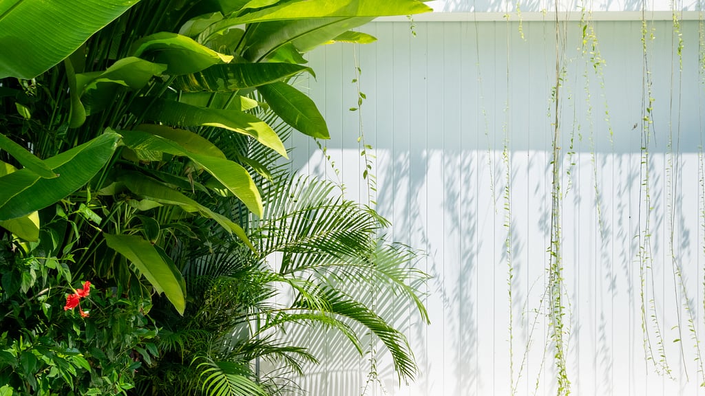 Loona Palm Villa 2: Others