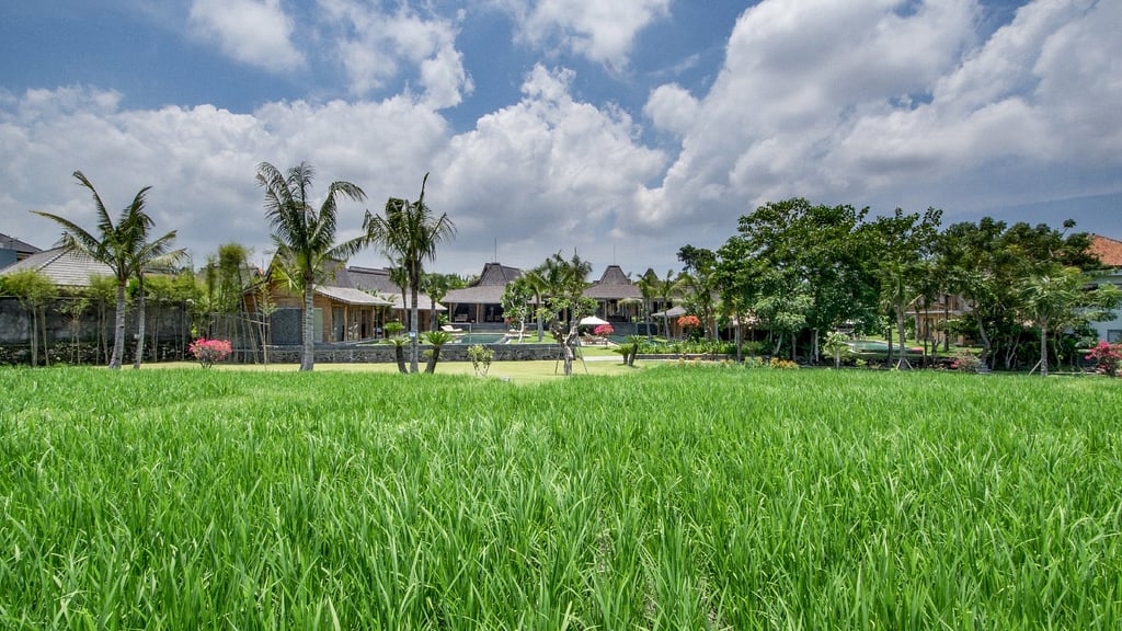 Mannao Estate: Surroundings