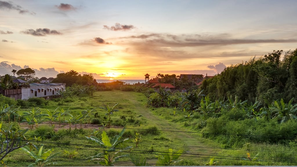 Swan Villa 3: Others