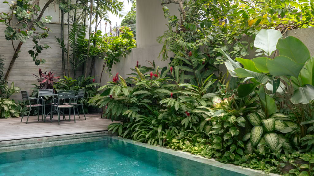 Swan Villa R: Others