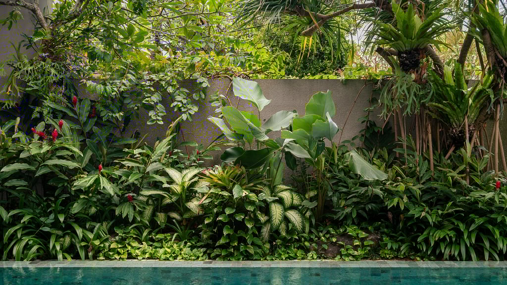 Swan Villa R: Others