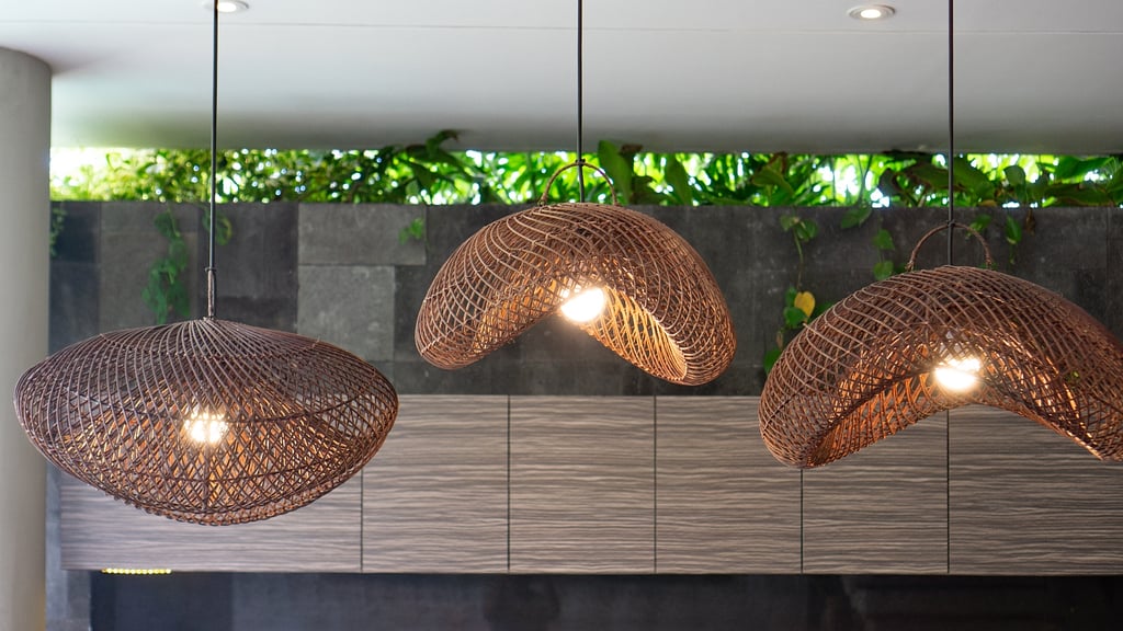 Swan Villa R: Others