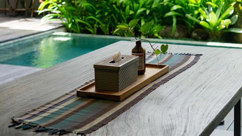 Swan Villa R: Others