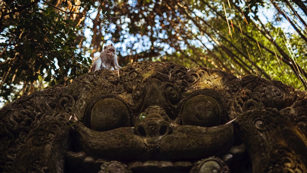 Villa Candi Kecil Tiga: Surroundings