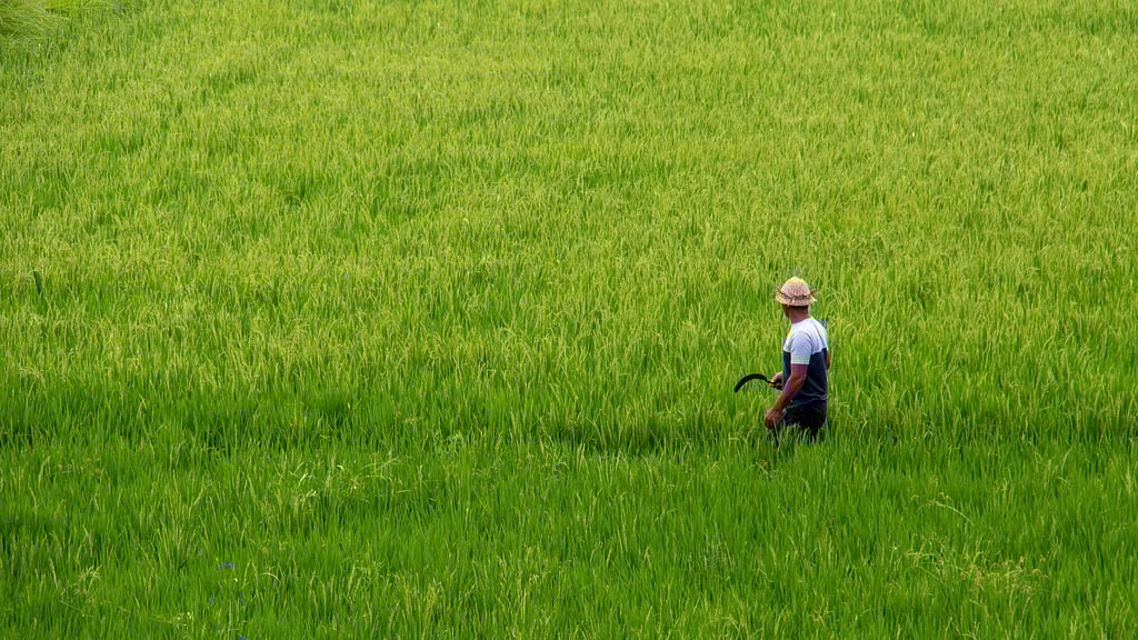 Villa Candi Kecil Empat: Surroundings
