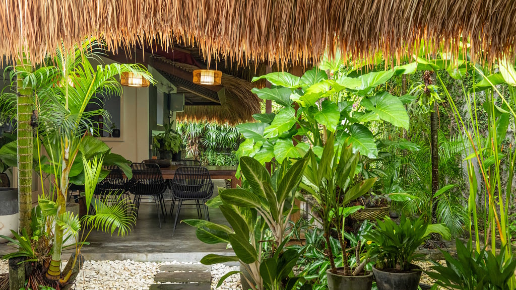 Villa Celeste: Garden