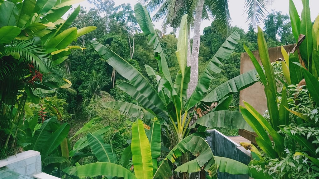 Villa Charles Ubud