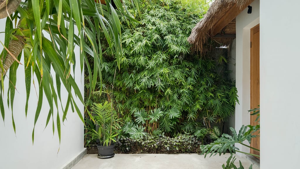 Villa Lapis 1: Others