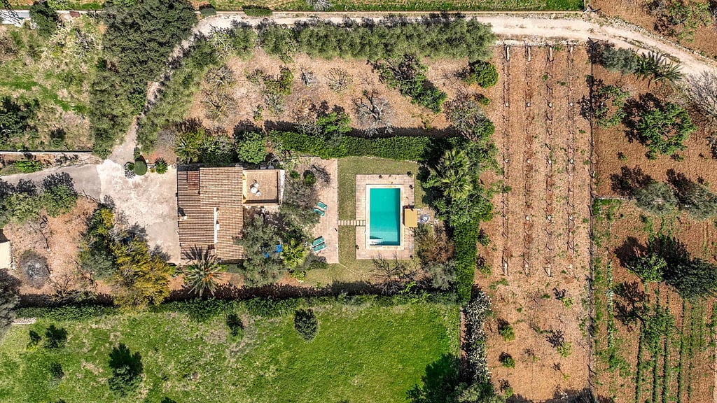 Villa Teresa Suau