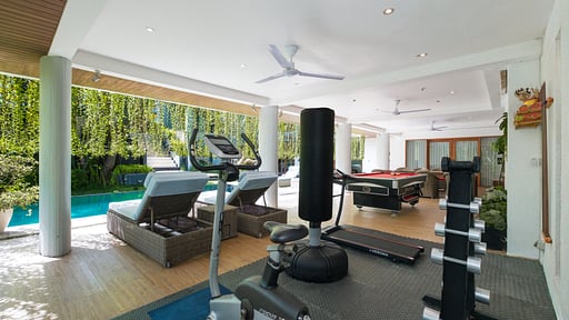 Da Vinci Villa Gym