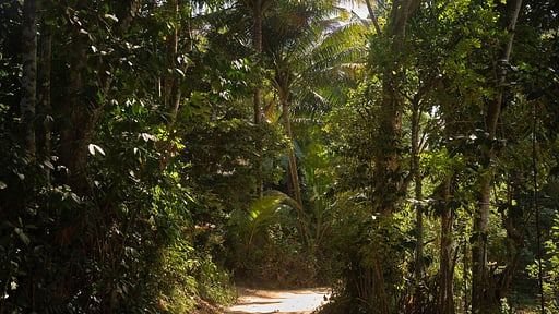 Halala Kanda House Umgebung
