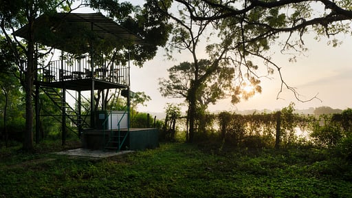 Neem Tree House Others