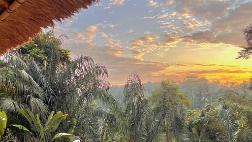 Villa Shamballa Surroundings