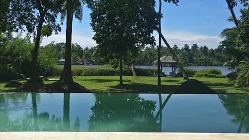 The Lake House Swimming pool