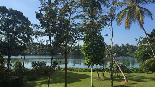 The Lake House Garden