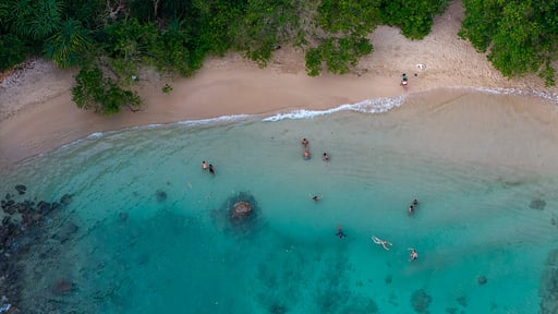 Villa Indisch Foto drone