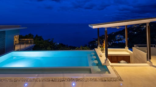 Villa Karpe Diem Swimming pool 2
