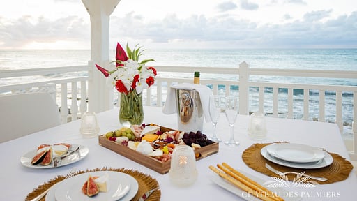 Villa Le Chateau Des Palmiers Others