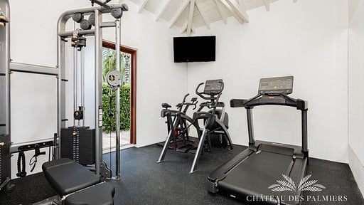 Villa Le Chateau Des Palmiers Gym