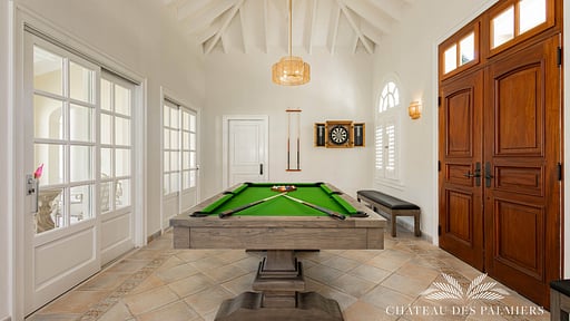 Villa Le Chateau Des Palmiers Billiard