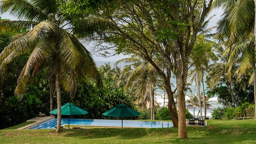 Villa Mimosa Hill Garden