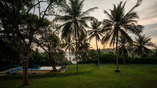 Villa Mimosa Hill Garden