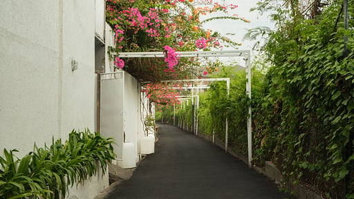 Villa Moana Surroundings
