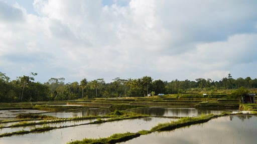 Villa Rumah Lotus Fasilitas lainnya