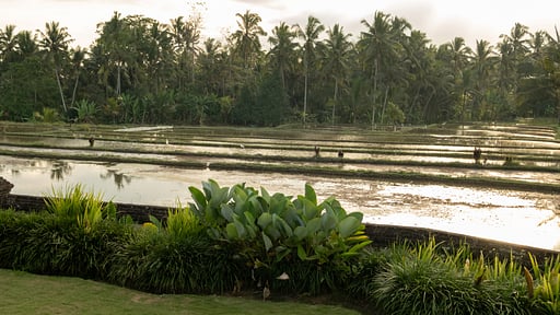 Villa Rumah Lotus Fasilitas lainnya
