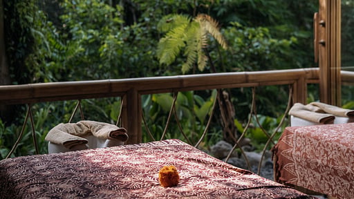 Villa Seriska Ubud Spa
