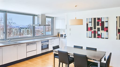 Youtei Tracks Two Bedroom Condo Kitchen
