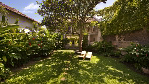 20 Middle Street Garden